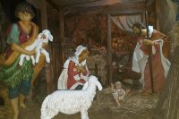 foto natale